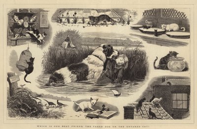 Which is our Best Friend, the Taxed Dog or the Untaxed Cat by John Charles Dollman